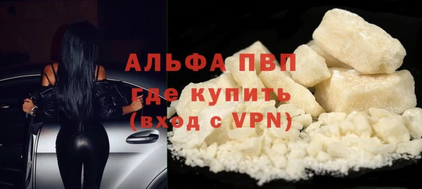 сатива Сясьстрой