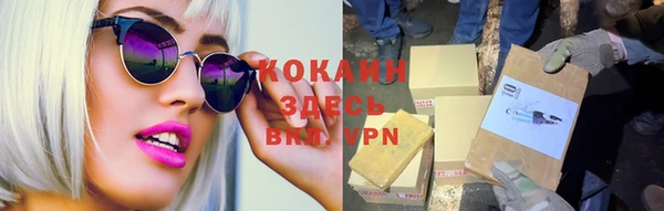 сатива Сясьстрой