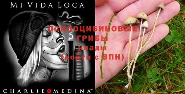 винт Белокуриха