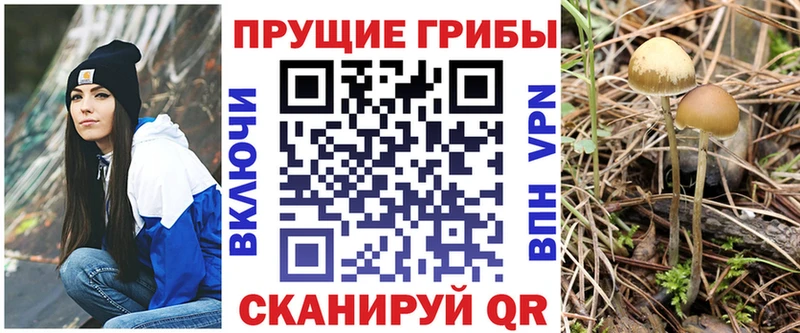 Галлюциногенные грибы Cubensis  Кирс 